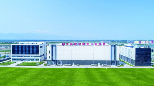 宁夏建材王玉林 以水泥产业链为支撑，推动数字化转型升级