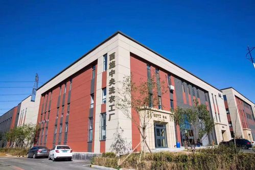 圆虎绝电插座 为工业用电安全保驾护航